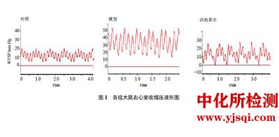野百合碱诱导肺动脉高压模型测定