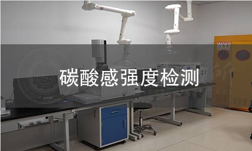 碳酸感强度检测