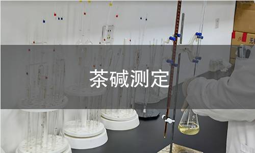 茶碱测定