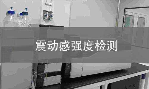 震动感强度检测