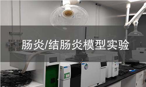 肠炎/结肠炎模型实验