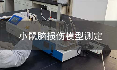 小鼠脑损伤模型测定