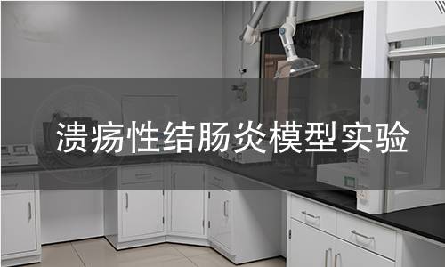 溃疡性结肠炎模型实验