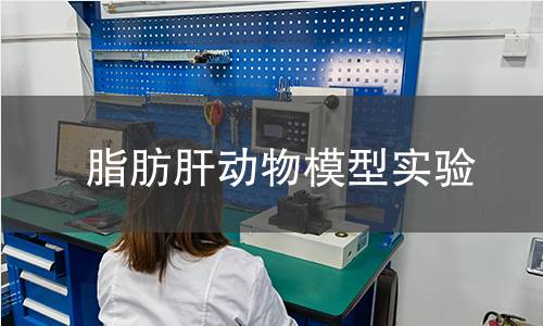 脂肪肝动物模型实验