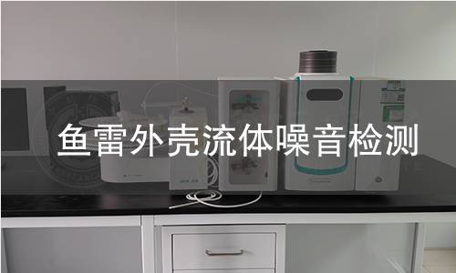 鱼雷外壳流体噪音检测