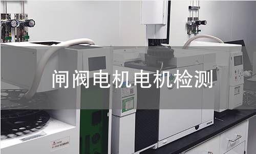 闸阀电机电机检测
