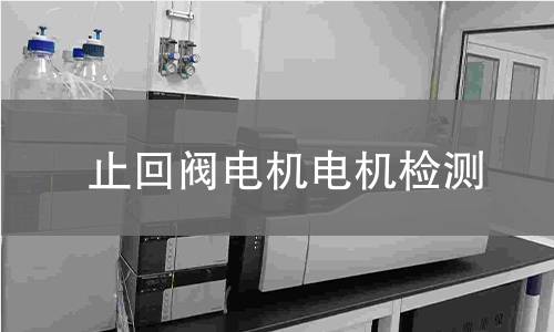 止回阀电机电机检测