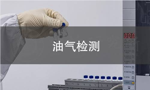 油气检测
